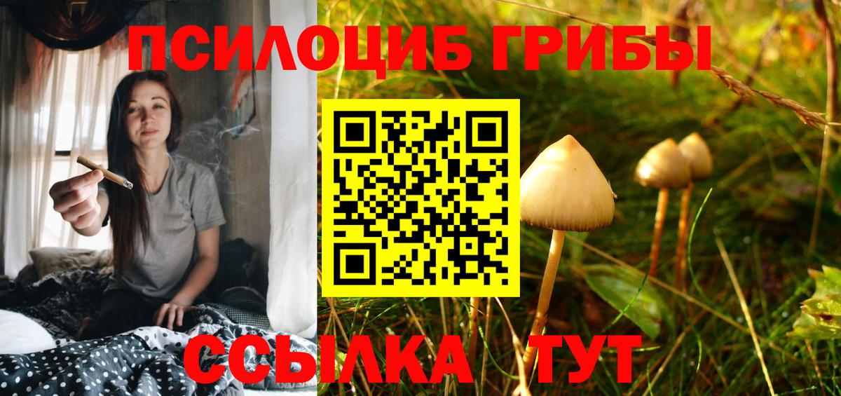Сургут  Галлюциногенные грибы мухоморы  Вход с VPN 